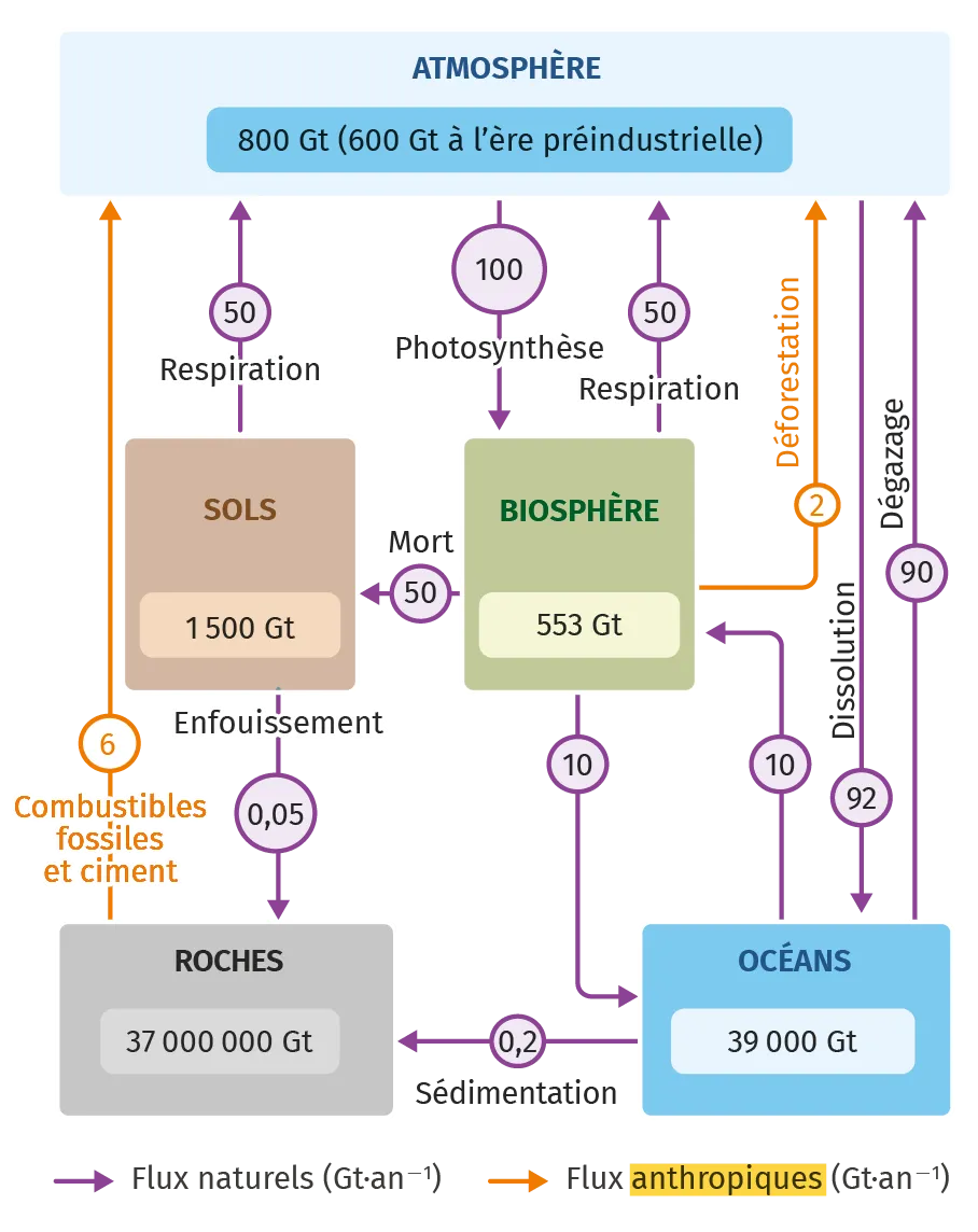 Schéma illustrant les cycles naturels et anthropiques du carbone entre l'atmosphère, les sols, la biosphère, les océans et les roches.