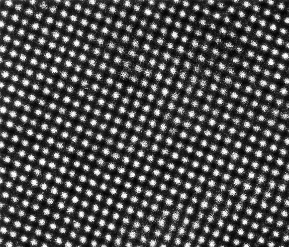 Atomes de molybdène vus au microscope électronique