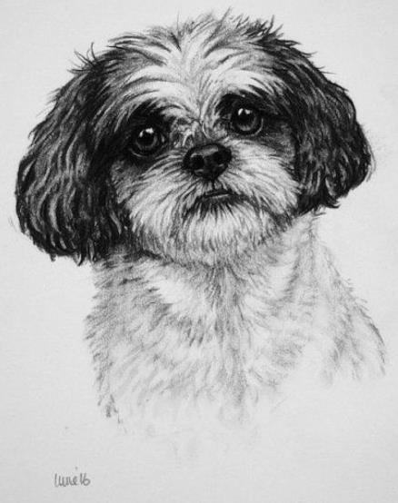 illustration décorative d’un petit chien