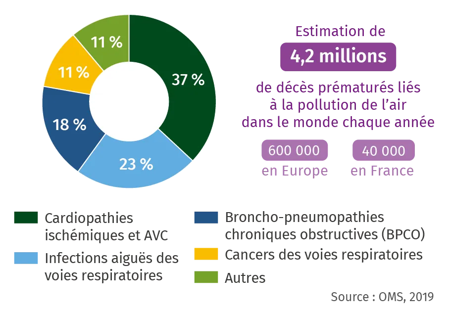 Graphique circulaire montrant les causes de décès prématurés liés à la pollution de l’air