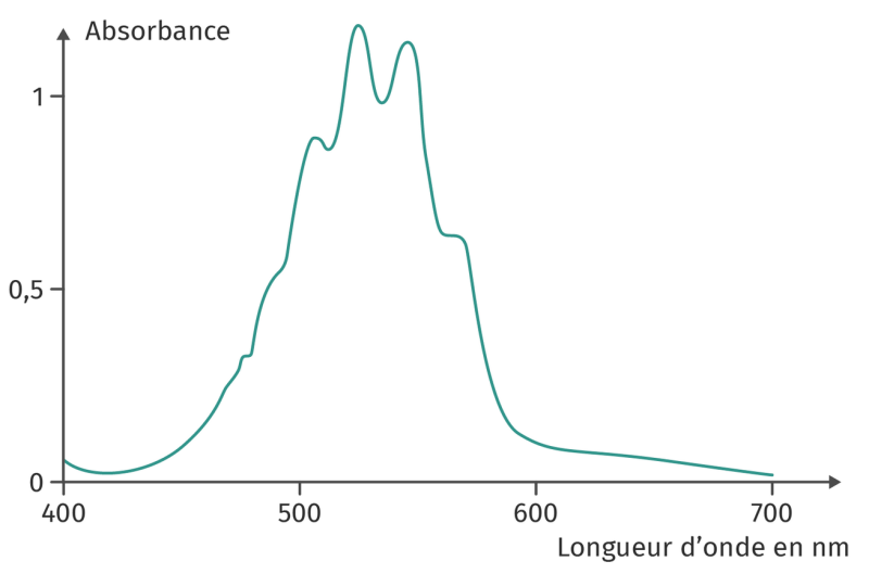 Spectre d’absorption de l’ion permanganate